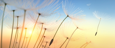 Cisza na przesilenie letnie